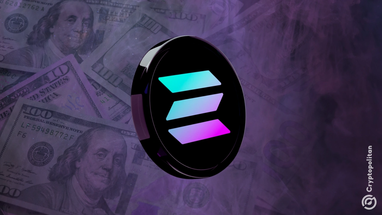 Pacifica DEX logo